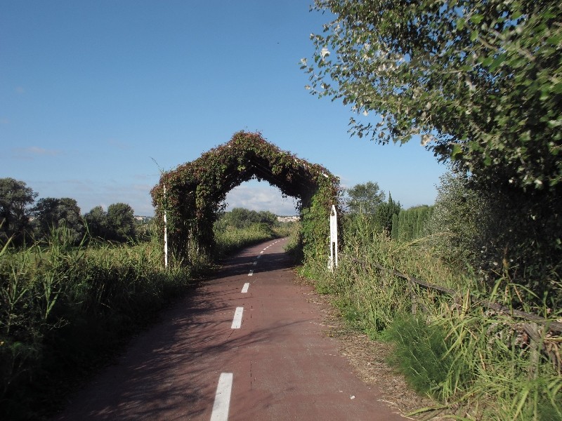 Romfahrt169