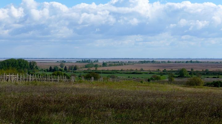 P1080230