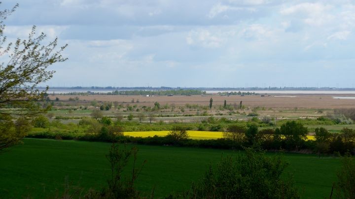 P1080233