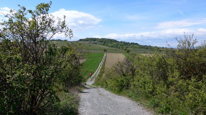 P1080248