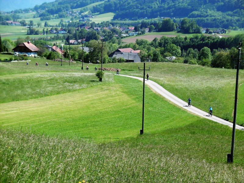 P1000683