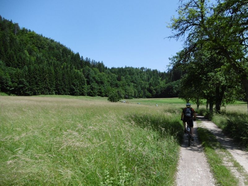 P1000574