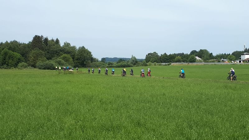 IMG-20230708-WA0004